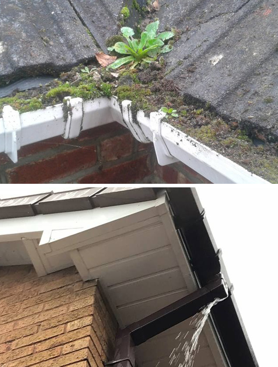 Gutter Cleaning and Gutter Unblocking Liskeard, Gutter Cleaning Quotes Liskeard from specialist Gutter Cleaners in Liskeard Gutter Cleaning Liskeard | Gutter Cleaners Liskeard | Gutter Unblocking Liskeard | Clean Gutters Liskeard
