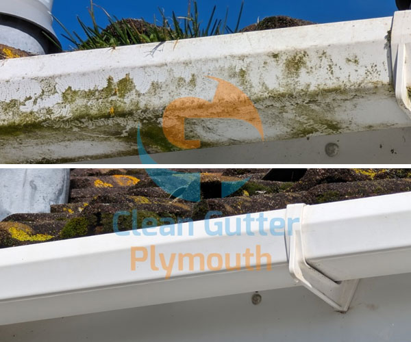 Gutter Cleaning, Gutters Cleaned, Guttering Unblocking, Gutter Clearance, Plymouth, Plympton, Plymstock, Saltash, Tavistock, Ivybridge, Gutter Clenaing Quote, Domestic Only